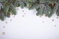 Pine branches christmas decoration isolated