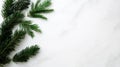 Fresh Green Pine Branches on White Marble Surface with Copy Space Royalty Free Stock Photo
