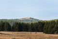 Fresh green pine tree forest with a clear vibrant mountain top peak background autumn landscape beautiful scenery of Royalty Free Stock Photo