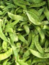 Fresh green pisum sativum