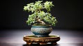 Fresh green plant growth in ornate Japanese flower pot decoration