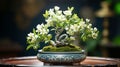 Fresh green plant growth in ornate Japanese flower pot decoration