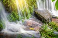 Fresh green plant and rock in middle Mun Dang Waterfall rain sea