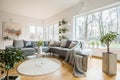 Fresh green plants in white living room interior with corner sofa with pillows and blanket, glass door and small table with tulips Royalty Free Stock Photo