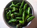 Fresh Green Poblano, Mexican Chili Pepper.