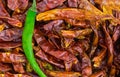 Fresh green pod of hot pepper with copy space on a background of dried chili long fruit base