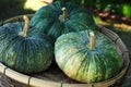 Fresh green pumpkin Royalty Free Stock Photo