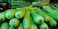 fresh green pumpkin organic foods keep into the farmers shop