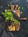 Fresh green and purple basil leaves with herb chopper knife Royalty Free Stock Photo