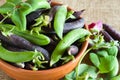 Fresh green and purple peas in a bowl Royalty Free Stock Photo