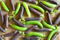 Fresh green and purple peas on linen fabric Royalty Free Stock Photo