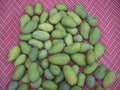 Fresh green raw mangoes heap. View from above. Popular fruit in Pakistan. Royalty Free Stock Photo