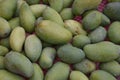 Fresh green raw mangoes heap. View from above. Popular fruit in Pakistan. Royalty Free Stock Photo