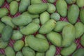 Fresh green raw mangoes heap. View from above. Popular fruit in Pakistan. Royalty Free Stock Photo