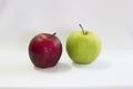 Fresh green & red apple Royalty Free Stock Photo