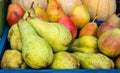 Fresh Green and Red Pears in a basket, on sale on market Royalty Free Stock Photo