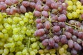 Fresh Green And Red Wine Grapes In Sale At The Market. Royalty Free Stock Photo