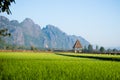Fresh Green rice field against mountain Royalty Free Stock Photo