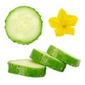 Fresh green ripe cucumber slices and flower.