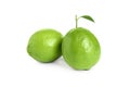 Fresh green ripe limes isolated Royalty Free Stock Photo