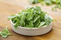 Fresh green rocket salad in white round plate. Healthy salad isolated on wooden table. Copy space Royalty Free Stock Photo