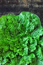 Fresh green romaine lettuce. Beautiful green bunch of lettuce on a loft style background