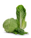 Fresh green Romaine Lettuce, Cabbage and Spinach leaves