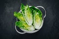 Fresh Green Romaine Lettuce for Caesar Salad on dark stone background Royalty Free Stock Photo