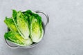 Fresh Green Romaine Lettuce for Caesar Salad on gray stone background Royalty Free Stock Photo
