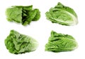 Fresh green romaine lettuce isolated on white Royalty Free Stock Photo