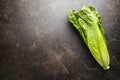 Fresh green Romaine Lettuce. Leaves of Lactuca sativa Royalty Free Stock Photo