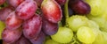 Fresh green and rose grapes Royalty Free Stock Photo