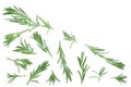 Fresh green rosemary isolated on a white background with copy space for your text. Top view. Flat lay Royalty Free Stock Photo