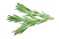 Fresh green rosemary isolated on a white background. Top view. Flat lay Royalty Free Stock Photo