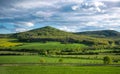 Fresh green rural landscape in Saxony, Germany