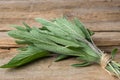 Fresh green sage bunch closeup.