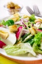 Fresh green salad Royalty Free Stock Photo