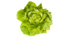 Fresh green salad Royalty Free Stock Photo