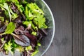 Fresh green salad with arugula, red chard, mangold and lettuce i Royalty Free Stock Photo