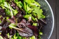 Fresh green salad with arugula, red chard, mangold and lettuce i Royalty Free Stock Photo