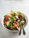 Fresh green salad with cherry tomato mozzarella and olives Royalty Free Stock Photo