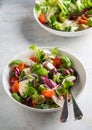 Fresh green salad with cherry tomato mozzarella and olives Royalty Free Stock Photo