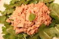 A fresh salad of dandelion with tuna fisch