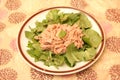 A fresh salad of dandelion with tuna fisch