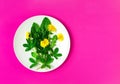 Fresh green salad with dandelions and edible flowers on a plate. decor