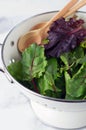 Fresh green salad in glass bowl on wooden background. Healthy eating concept Royalty Free Stock Photo