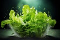 Fresh green salad healthy food background Royalty Free Stock Photo