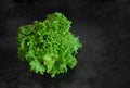 Fresh green salad lettuce on black textured background. Royalty Free Stock Photo