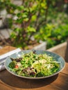 Fresh green salad made of green leaves mix Royalty Free Stock Photo