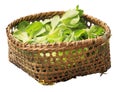 Fresh green salad in an old wicker basket on a white background Royalty Free Stock Photo